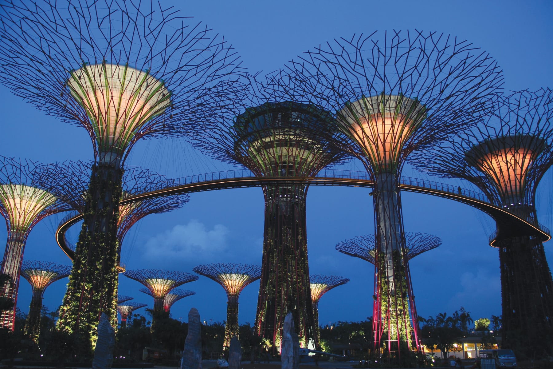 Gardens by the Bay’s Supertree Grove at dusk with the OCBC Skyway. Courtesy of Jerome Lim, The Long and Winding Road.